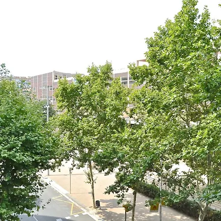Apartment Auditori *