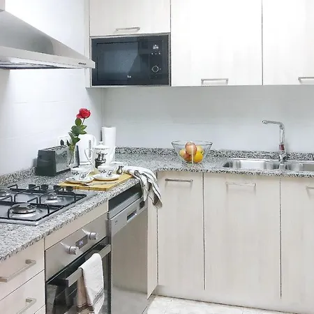 Auditori