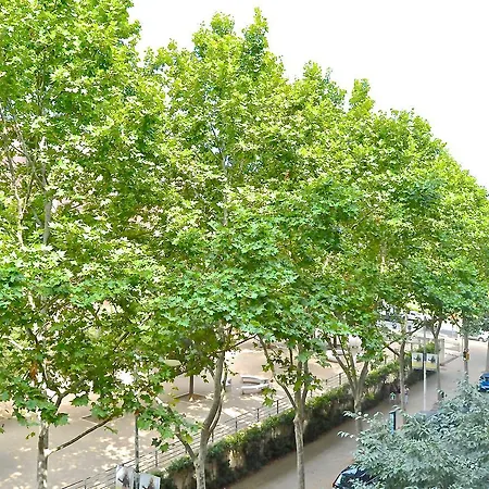 Auditori * Barcelona