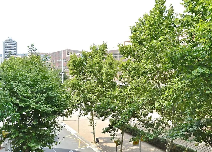 Appartement Auditori *