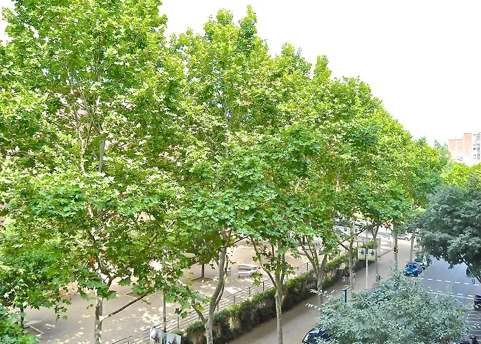 Auditori * Barcelone